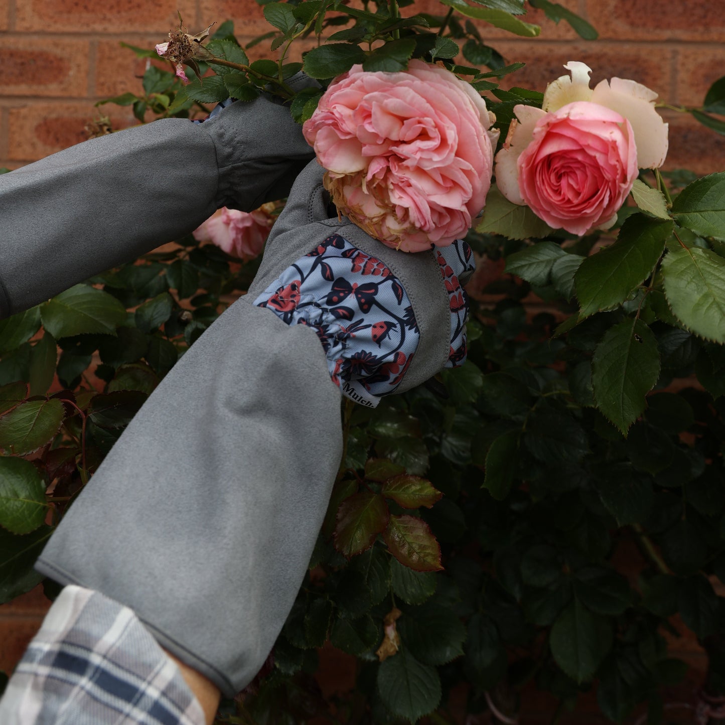 Throw Down The Gauntlet