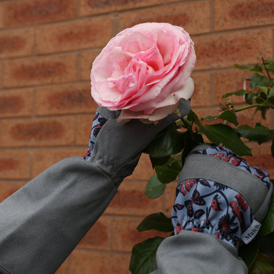 Throw Down The Gauntlet