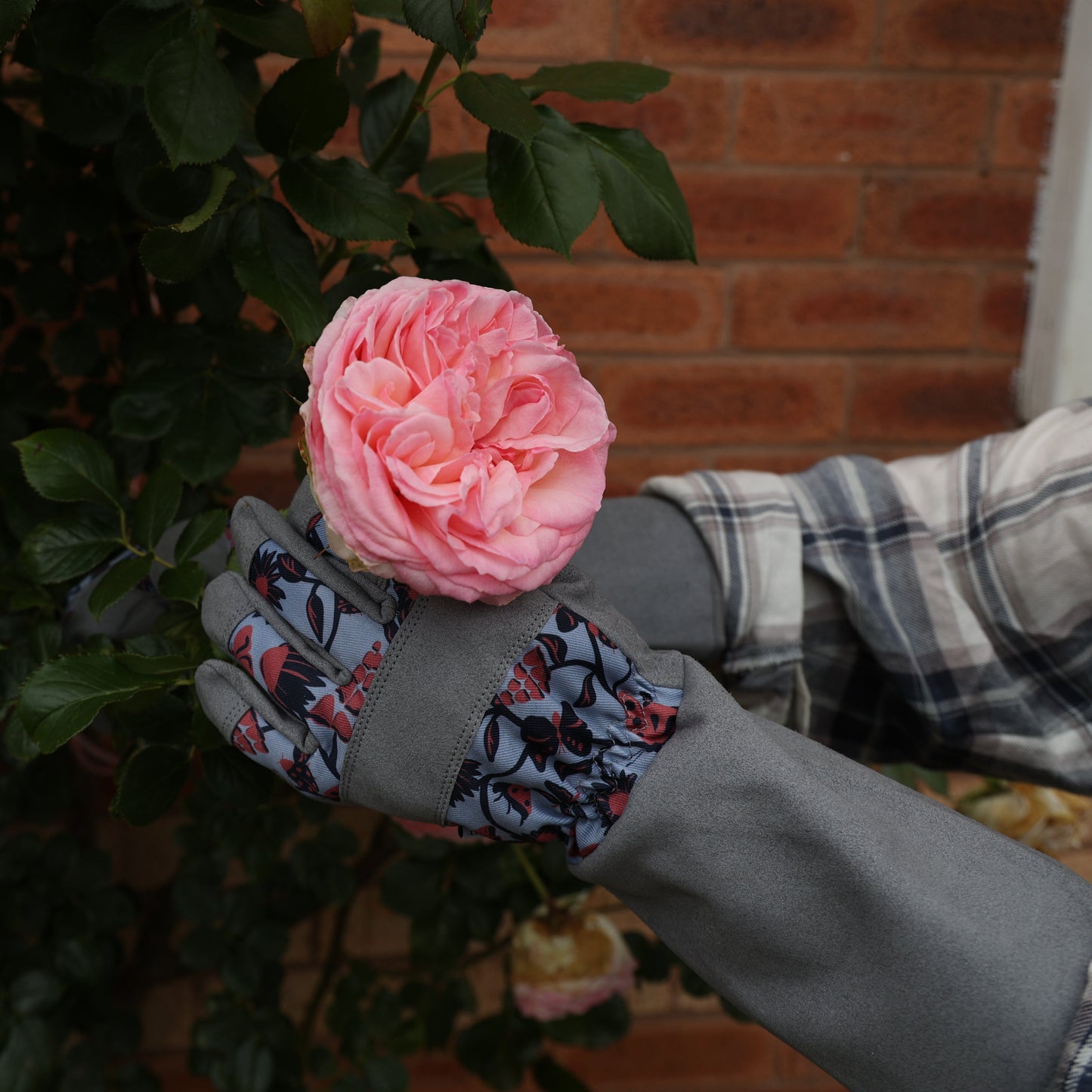 Throw Down The Gauntlet