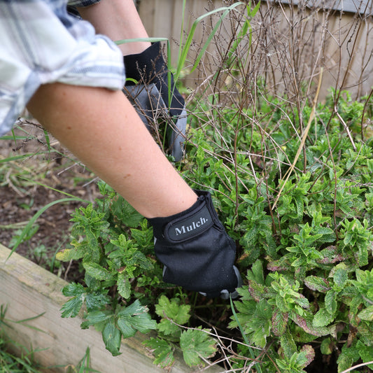Mulch Ado About Nothing