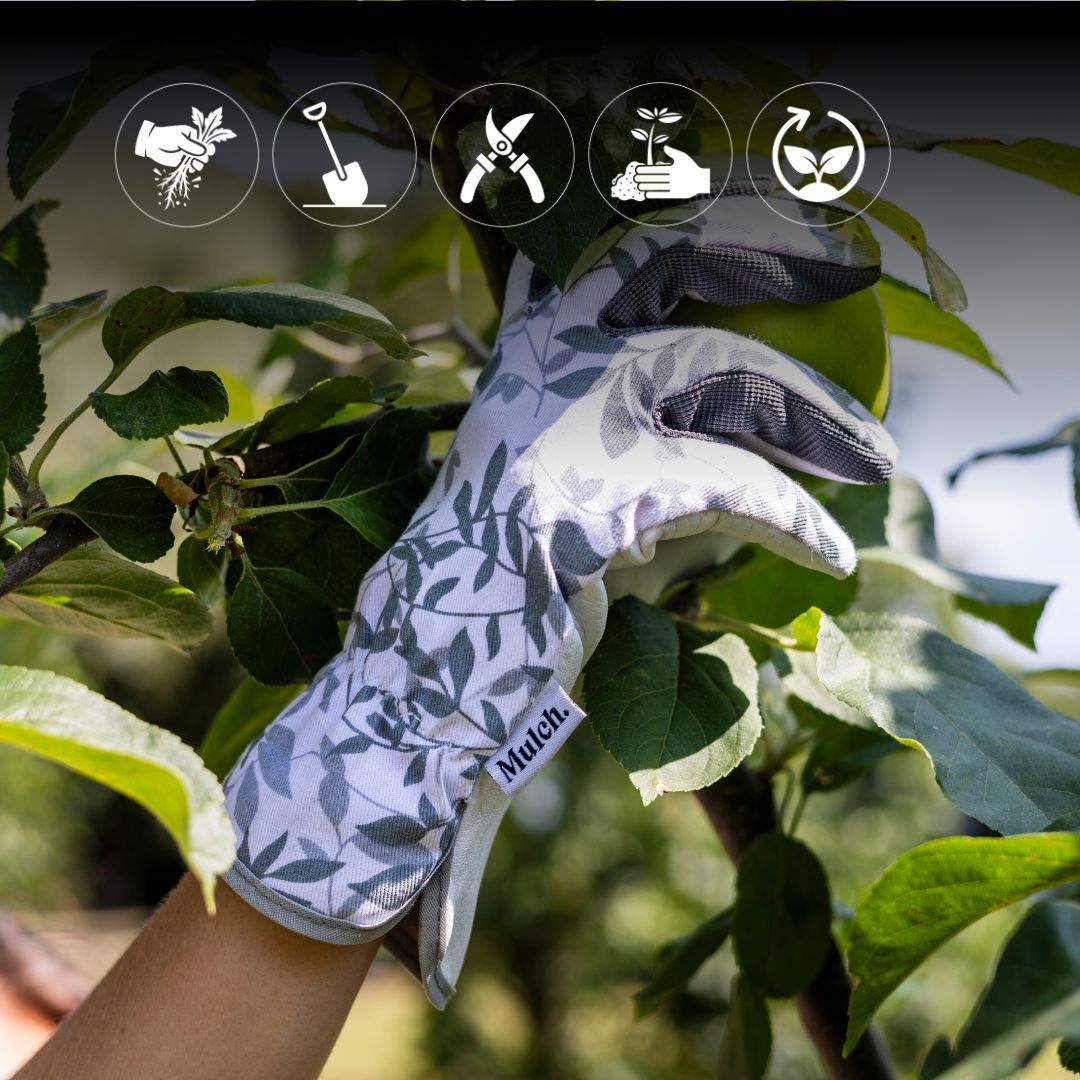 Lady Chatterley's Glover