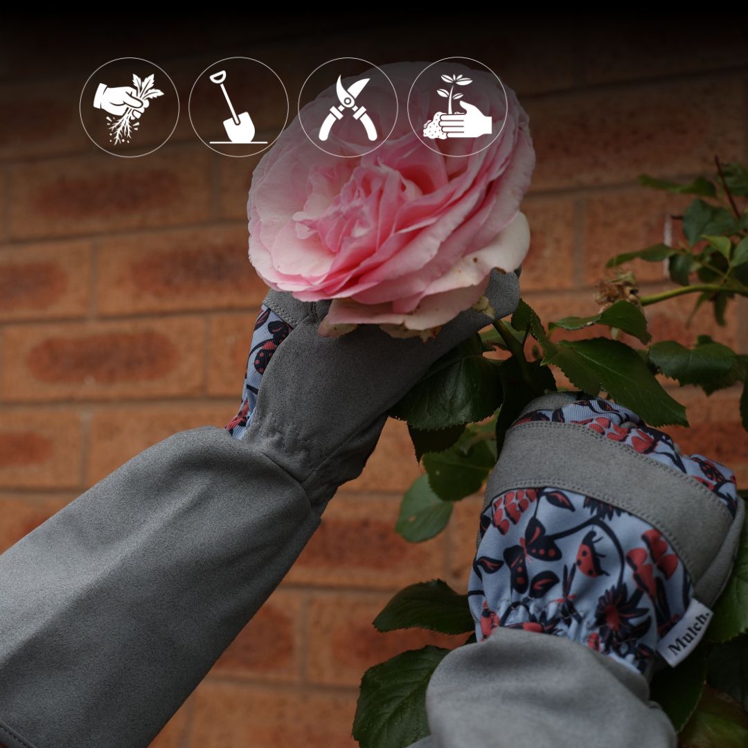 Throw Down The Gauntlet